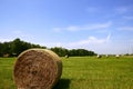 Golden Straw Hay Bales in american countryside Royalty Free Stock Photo