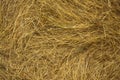 Stack of hay texture closeup Royalty Free Stock Photo