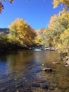Golden Colorado Stream View Royalty Free Stock Photo