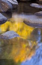 Golden Stream Reflection Royalty Free Stock Photo