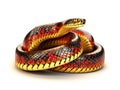 of golden striped cobra snakes Made With Generative AI illustration