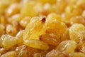 Golden sultanas raisins background closeup Royalty Free Stock Photo
