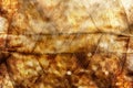 Golden Summer Abstract Background, Sunlight and Bokeh Royalty Free Stock Photo