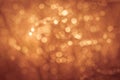 Golden summer nature abstract background concept, soft focus