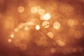 Golden summer nature abstract background concept, soft focus Royalty Free Stock Photo