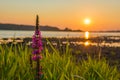 Summer sunset over the Daugava river, Riga Latvia Royalty Free Stock Photo