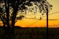 Golden summer sunset over a meadow, Peaceful evening landscape, rural countryside Royalty Free Stock Photo