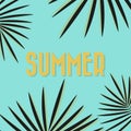 Golden summer text. Background with dark tropical palm leaves. Vector illustration, flat design Royalty Free Stock Photo