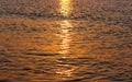 Golden sun glitter on rippled water surface of ocean by sunset