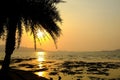 Golden sun light sunset in sea behind island. silhouette palm tree on beach romantic place in island thailand. romantic paradise j Royalty Free Stock Photo