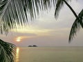 golden sun light sunset in sea . silhouette coconut tree leave on beach romantic place in thailand Royalty Free Stock Photo