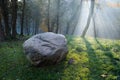 Golden sun rays penetrate through the trees on early foggy autumn morning with big rock bolder laying on the grass in