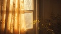golden sun in window Royalty Free Stock Photo
