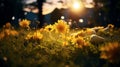 Golden Hour: Unreal Engine 5 Render Of Yellow Daisies In Meadow