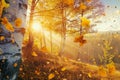 Golden sunlight bathes birch forest in autumns vibrant embrace Royalty Free Stock Photo