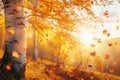 Golden sunlight bathes birch forest in autumns vibrant embrace Royalty Free Stock Photo