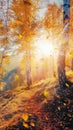 Golden sunlight bathes birch forest in autumns vibrant embrace Royalty Free Stock Photo