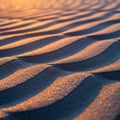 Golden sunlight casts over undulating sand dunes, creating a rhythmic pattern of light and shadow. Royalty Free Stock Photo