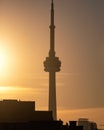 Golden sunlight illuminates the sky as the sun rises behind the silhouette of the CN tower