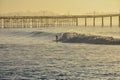 Surfer riding golden waves in the sunrise light. Royalty Free Stock Photo