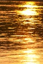 Golden Sunlight On River Portrait