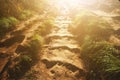 Golden sunlight shining down on the ground and grasses floor for Encouragement, hopefully and freedom of new life Royalty Free Stock Photo