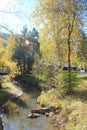 Golden autumn in the Altai region in Russia. Beautiful landscape - road in autumn forest