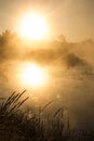 Golden sunny foggy polish lake Royalty Free Stock Photo