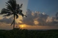 Golden sunrise through the clouds over the Atlantic Ocean with palm tree at Delray Beach, Florida Royalty Free Stock Photo