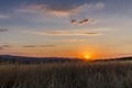 The golden sunrise in the fields Royalty Free Stock Photo