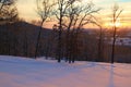 Golden Sunrise on Fresh Snowfall Royalty Free Stock Photo