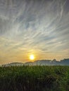 Golden sunrise in the morning in the rice fields