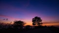 Golden sunrise with perspective of lonely road and tree silhouette. Royalty Free Stock Photo