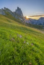 Golden sunrise at Seceda, Dolomites, A breathtaking spectacle unfolds, casting warm hues on the meadows