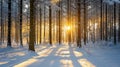 Golden sunrise, snowy forest, tranquil winter beauty