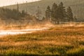 Golden sunrise in Yellowstone river Royalty Free Stock Photo