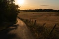 Golden Sunset Over Rye Field Royalty Free Stock Photo