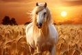 Golden sunset horse in wheat field, studio photography, hyper-realistic stock photo