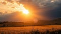 Golden sunset illuminating wheat field and rolling hills Royalty Free Stock Photo