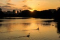 Golden sunset on a lake and in the background buildings of a big city. Royalty Free Stock Photo