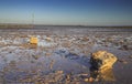 Golden Sunset Light Over Muddy Coast