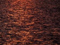 Golden sunset light reflection in dark evening water - purposely blurred and textured background Royalty Free Stock Photo