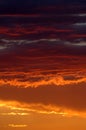 Golden sunset in Namibian desert