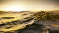 Golden sunset ocean wave background