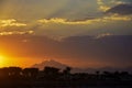 Golden sunset over the beach with palm trees. Sun`s rays break through clouds. Magnificent landscape. Royalty Free Stock Photo