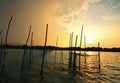 Golden Sunset over Chilka lake ,orissa. Royalty Free Stock Photo