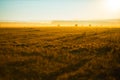 Golden sunset over farm field with hay bales Royalty Free Stock Photo