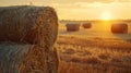 Golden sunset over farm field with hay bales Royalty Free Stock Photo