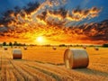 Golden sunset over farm field with hay bales, AI generated Royalty Free Stock Photo