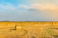 Golden sunset over farm field with hay bales and sun rays. Dry straw pressed into individual straw bales. Pile of straw Royalty Free Stock Photo